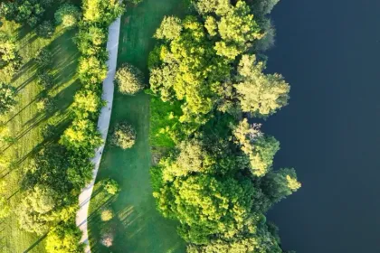 Nepean River walk at golden hour